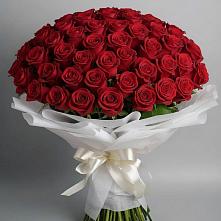 Букет 101 Красная роза Блэк Мэджик в Копейске