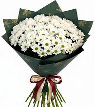 Букет цветов из:  Хризантемы #REPLACE_PRED# Копейске