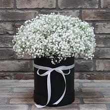 Цветочная композиция из Гипсофила в шляпной коробке в Копейске