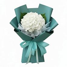 Букет цветов из:  Гортензия #REPLACE_PRED# Копейске